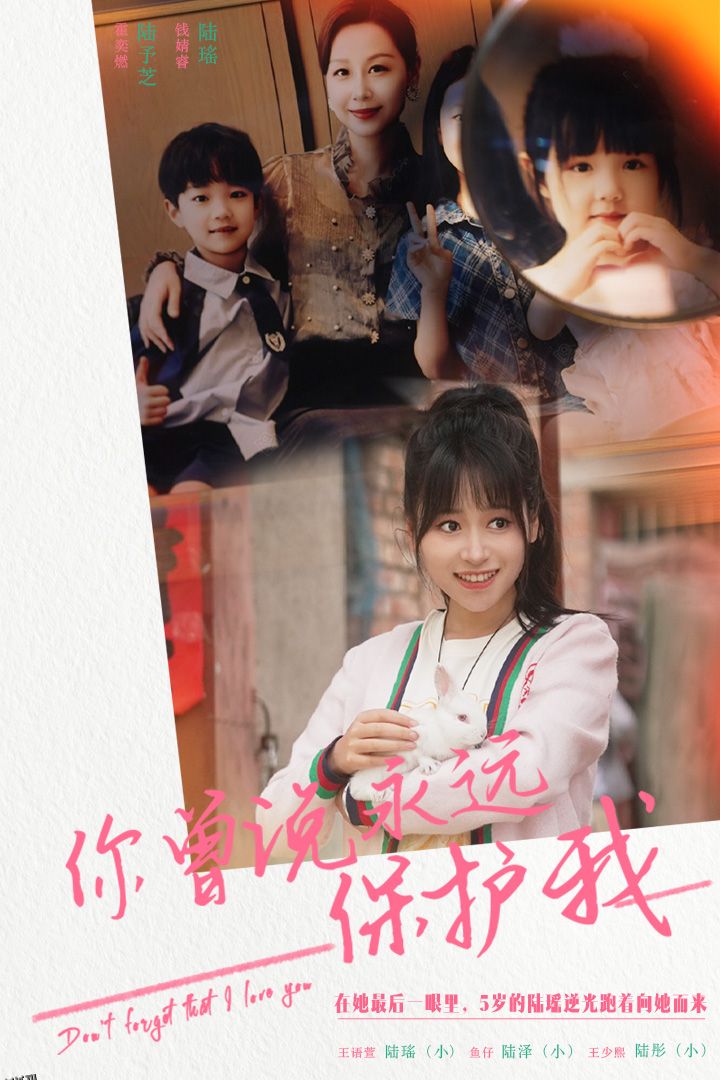 你曾说永远保护我 海报