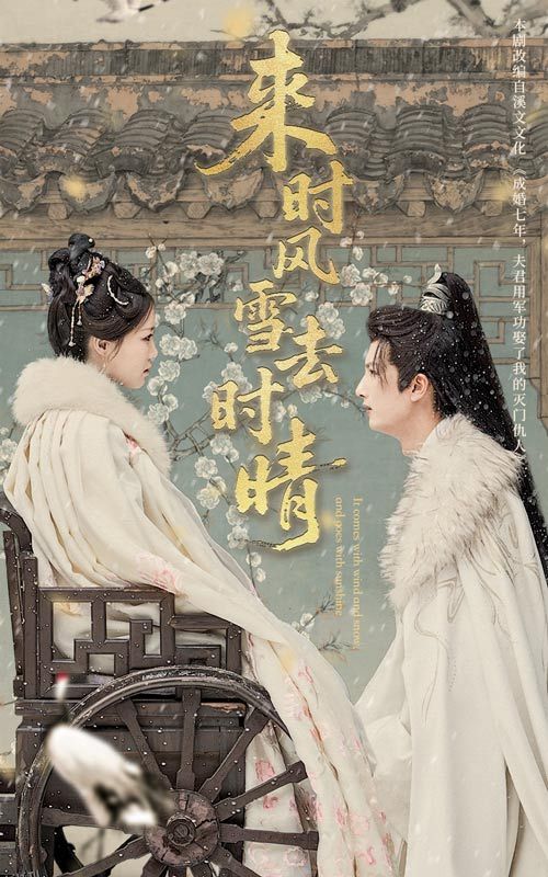 来时风雪去时晴 海报