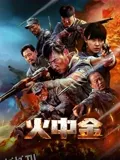 火中金 海报