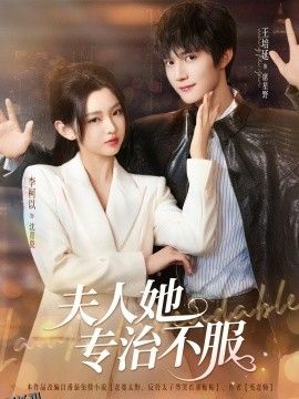 夫人她专治不服 海报