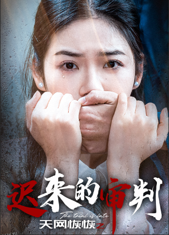 天网恢恢之迟来的审判 海报