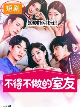 不得不做的室友2 海报