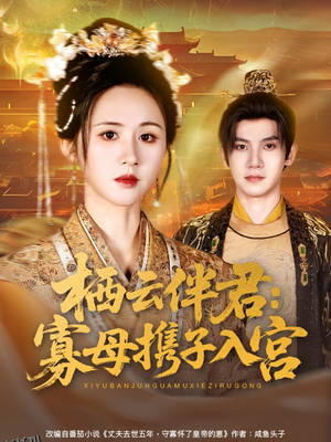 栖云伴君寡母携子入宫 海报