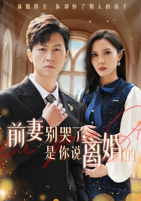 前妻别哭了是你说离婚的 海报