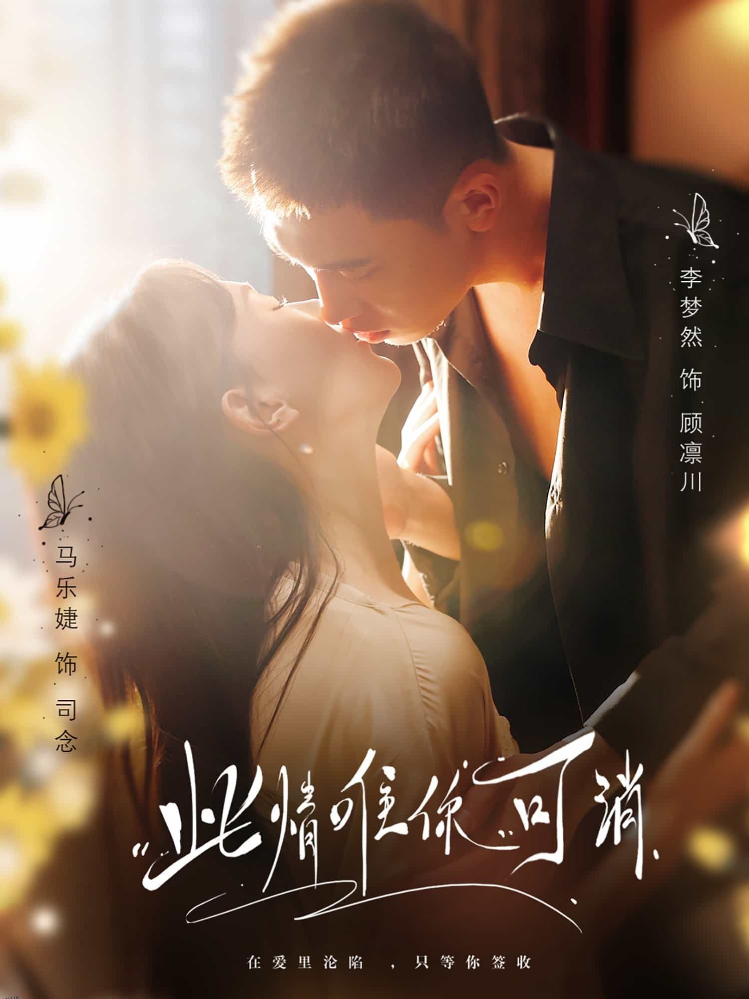 此情唯你可消 海报