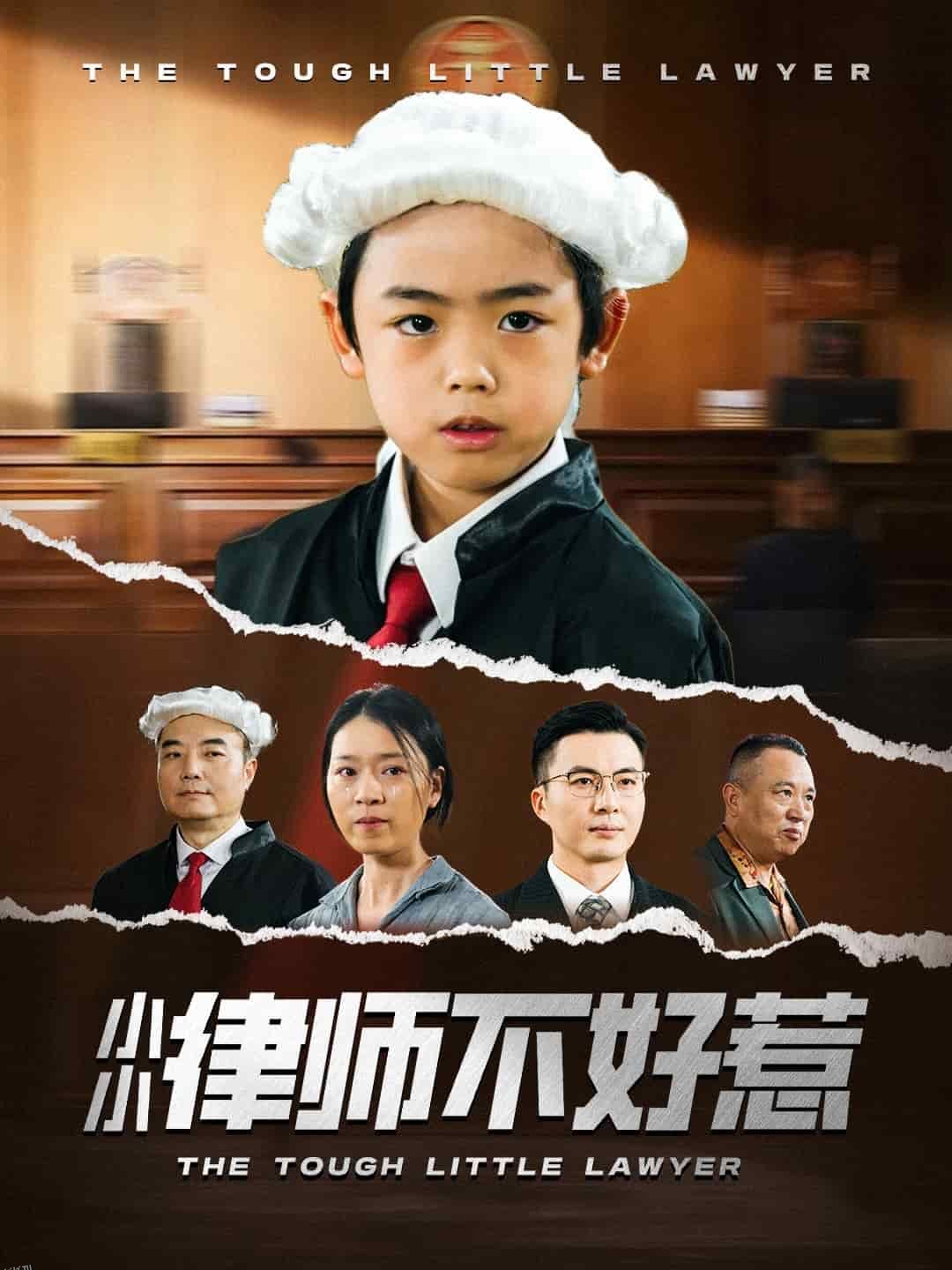 小小律师不好惹 海报