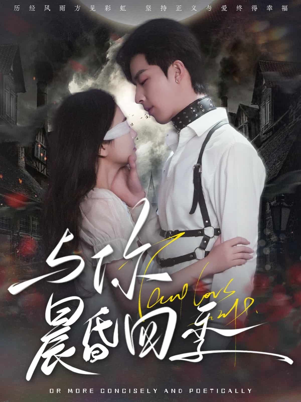 与你晨昏四季 海报