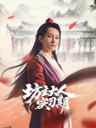 坊主大人实习期 海报