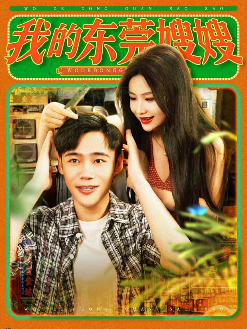 我的东莞嫂嫂 海报