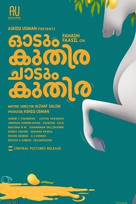 一匹马奔跑，一匹马跳跃 海报