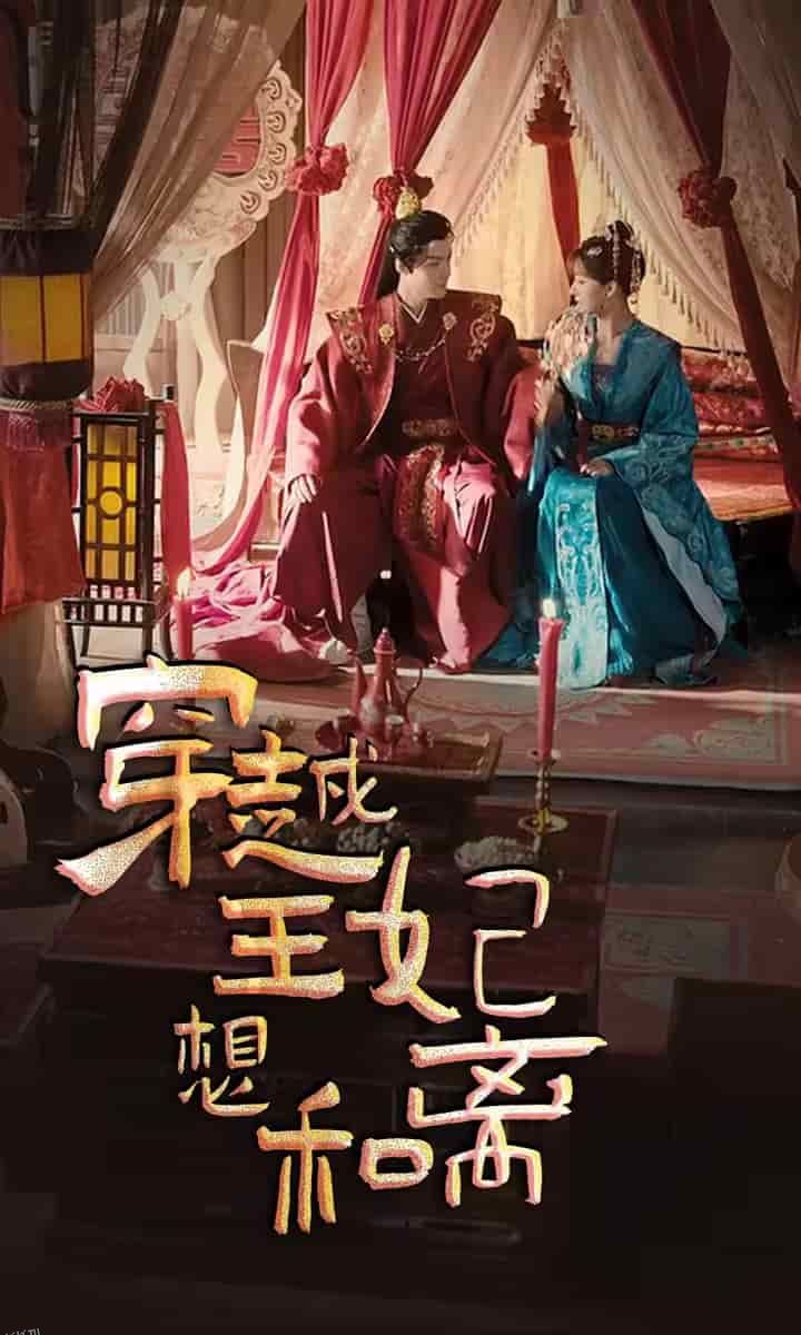 穿越王妃想和离 海报