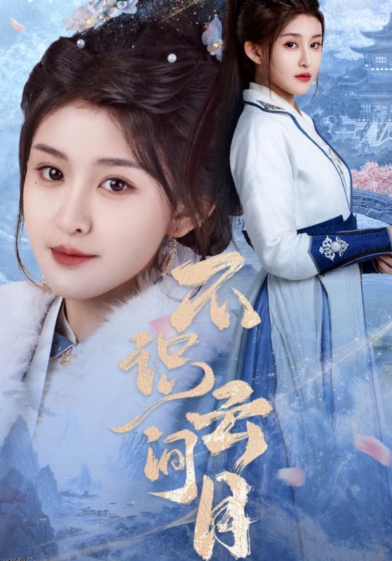 不识云间月 海报