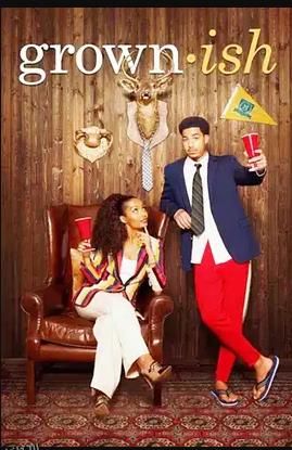 成长不容易第六季 海报