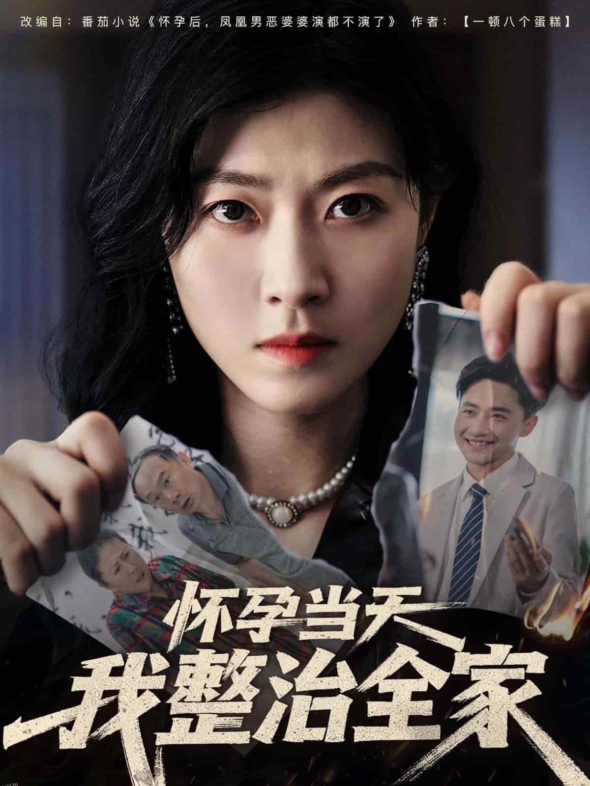 怀孕当天我整治全家 海报