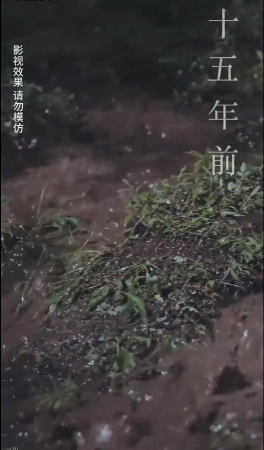 云深见朝阳 海报