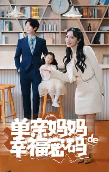 单亲妈妈的幸福密码 海报
