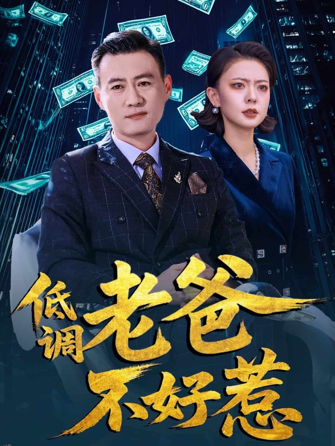 低调老爸不好惹 海报