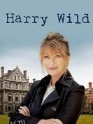 野探哈莉第一季 海报