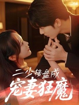 二少接盘成宠妻狂魔 海报