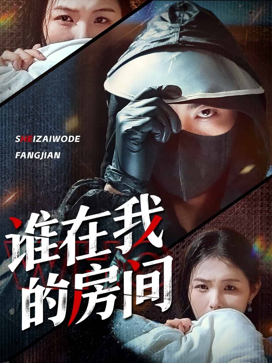 谁在我的房间 海报