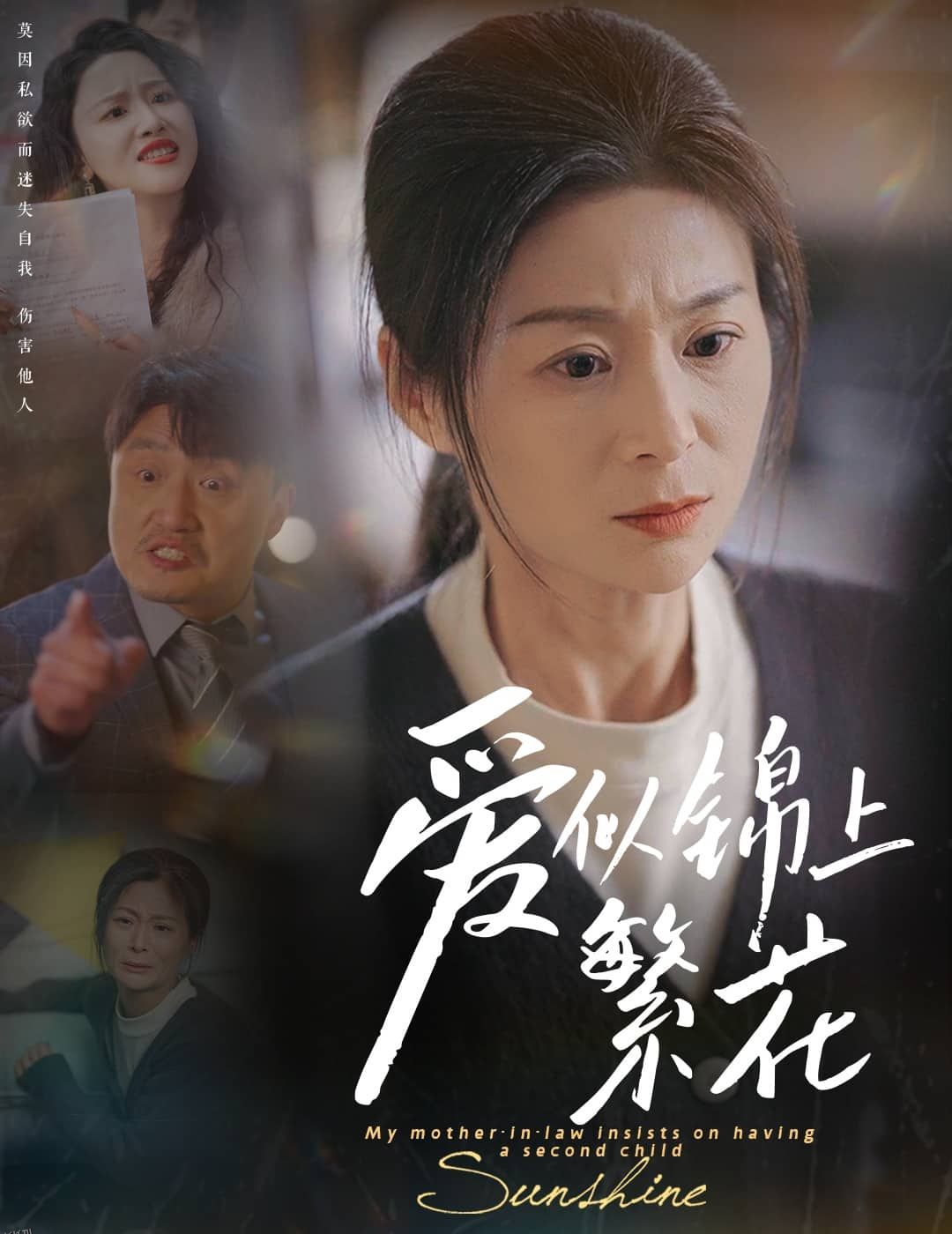 爱似锦上繁花 海报