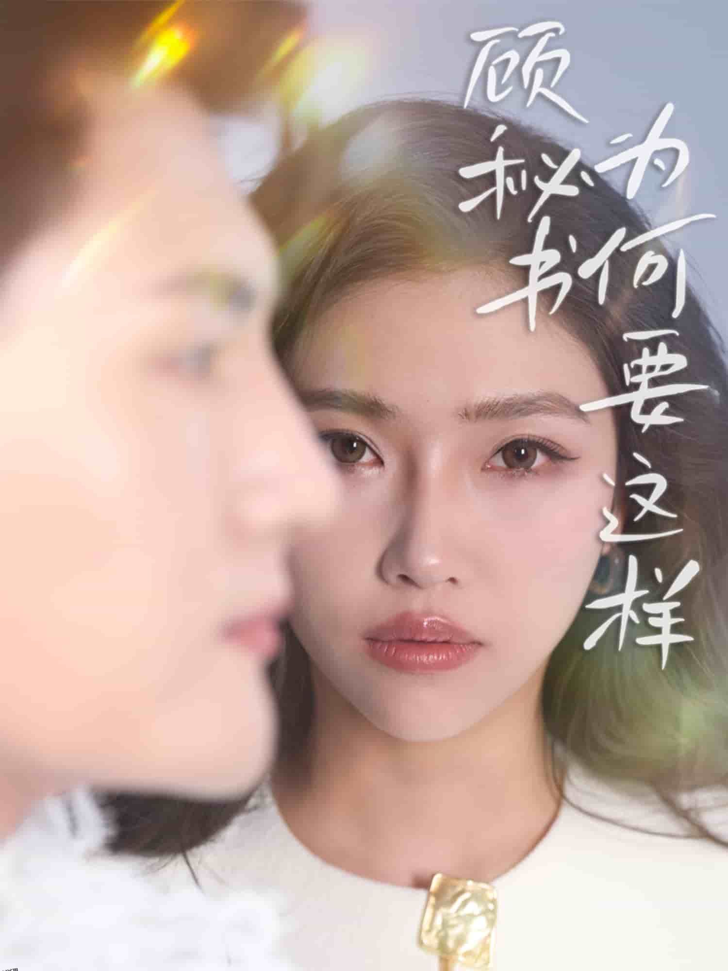 顾秘书为何要这样 海报