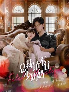 总裁镇不住少奶奶 海报