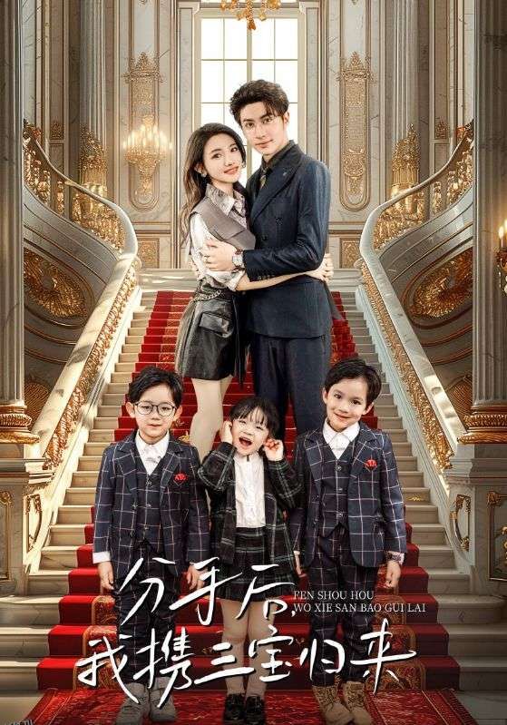 分手后，我携三宝归来 海报