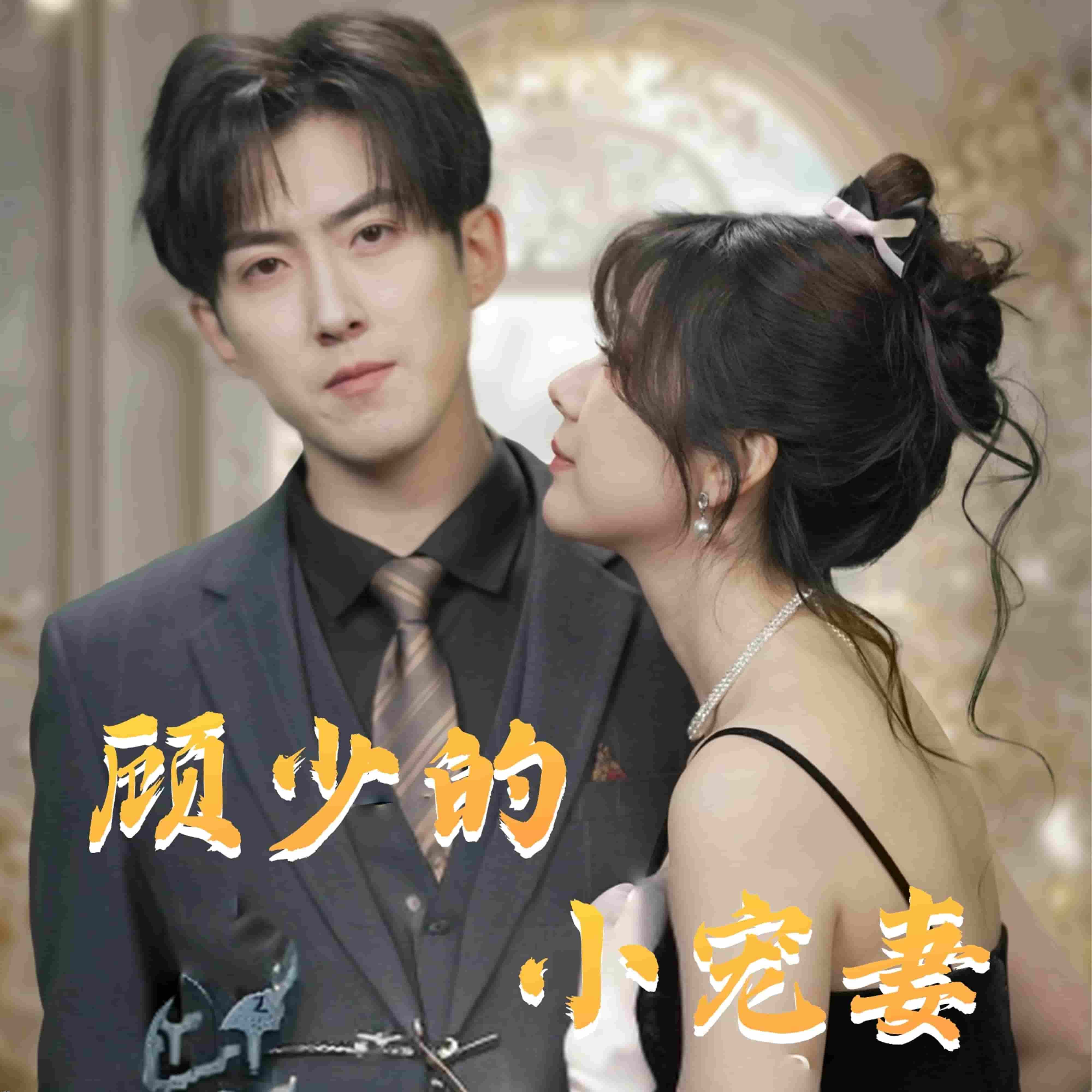 顾少的小宠妻 海报