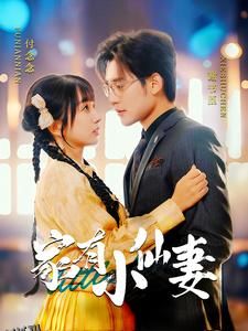 家有小仙妻 海报