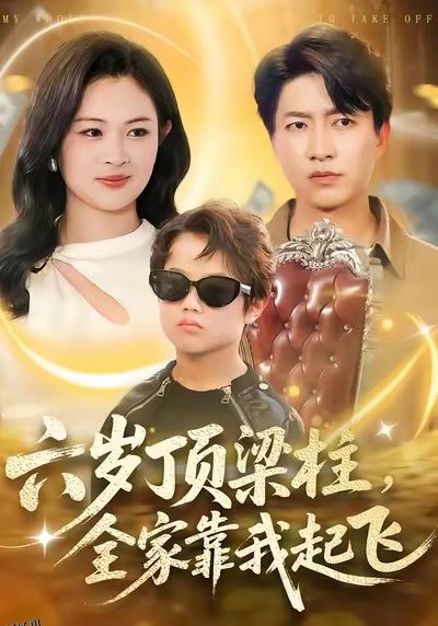 六岁顶梁柱，全家靠我起飞 海报