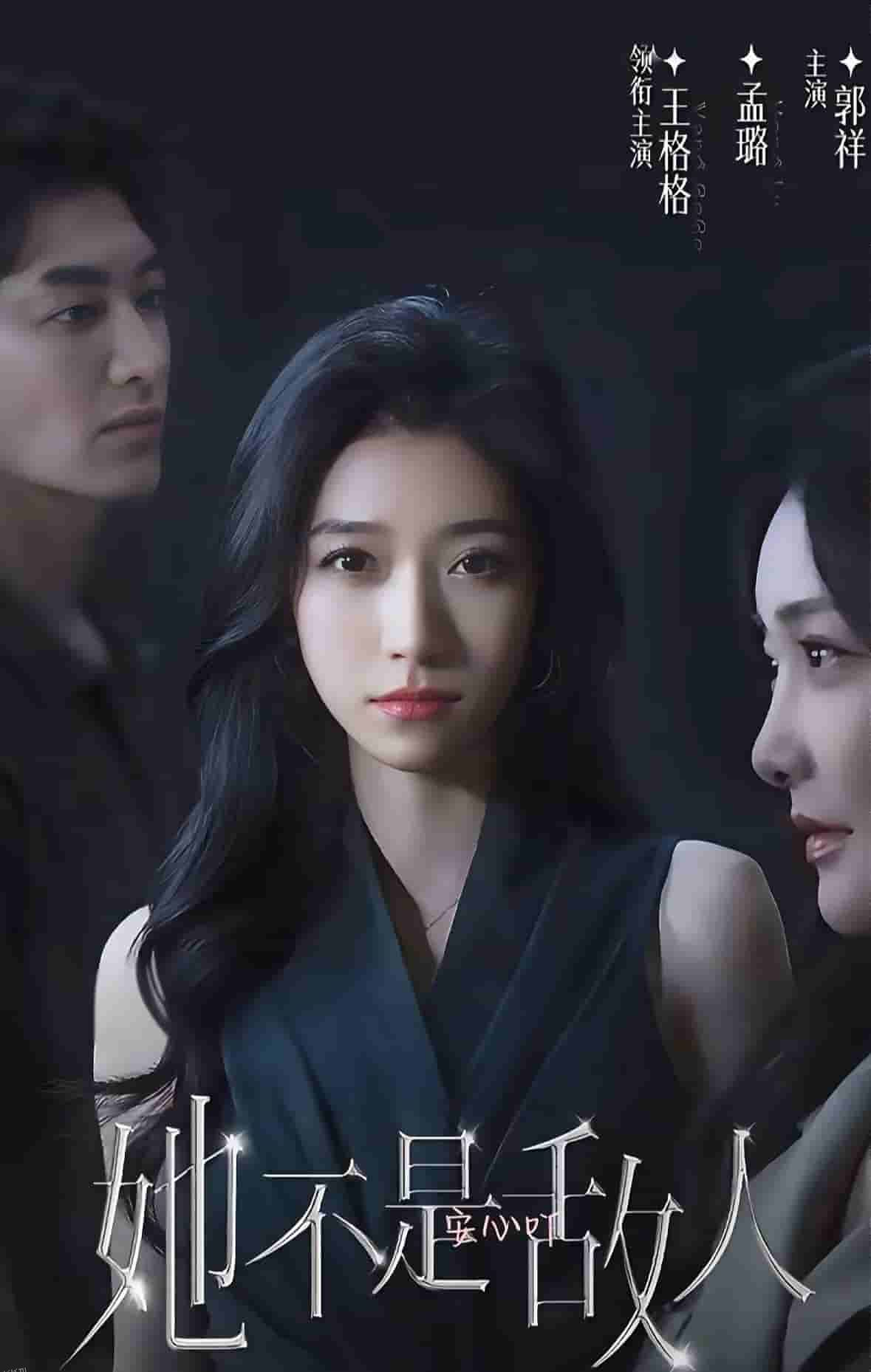 她不是敌人 海报