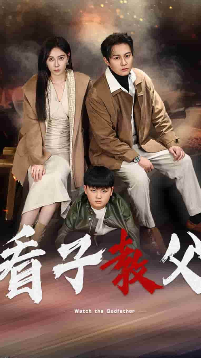 看子教父 高清海报