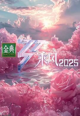乘风2025 高清海报