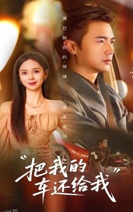把我的车还给我 海报