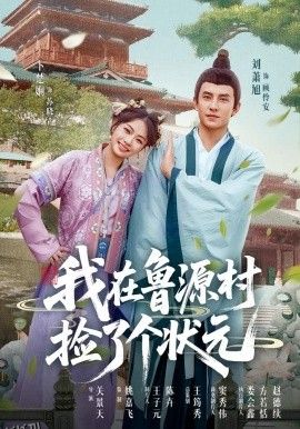 我在鲁源村捡了个状元 海报