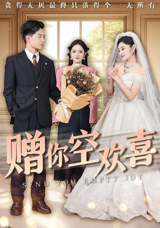 赠你空欢喜 海报