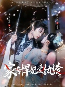 家有悍妃爱纨绔 海报