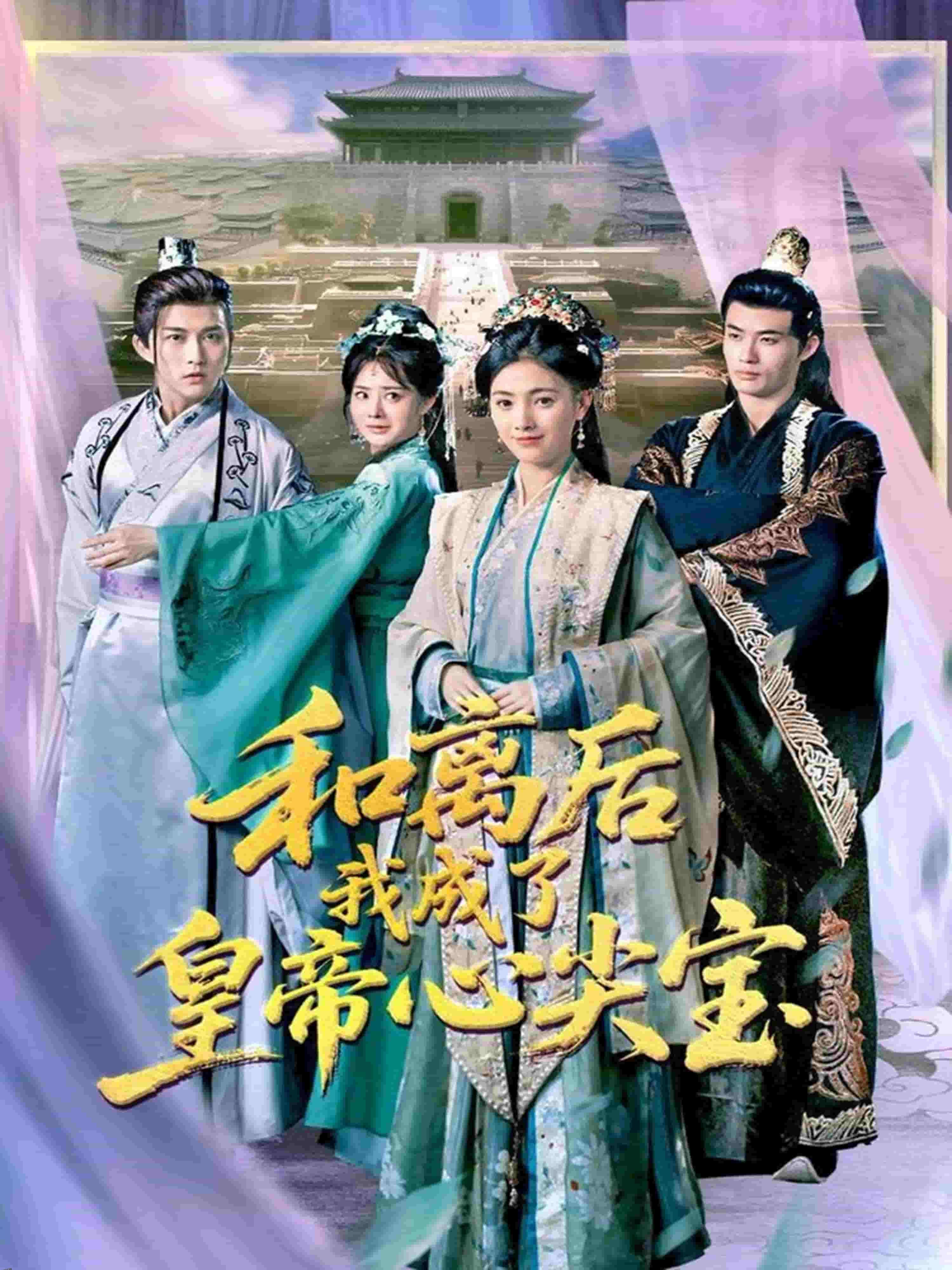 和离后我成了皇帝心尖宝 海报