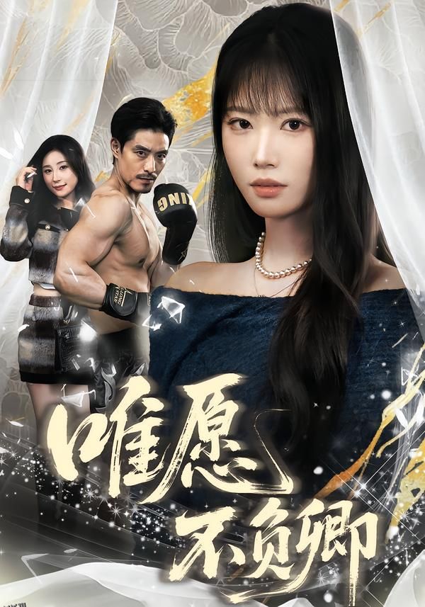 唯愿不负卿 海报