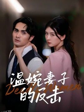 温婉妻子的反击 海报