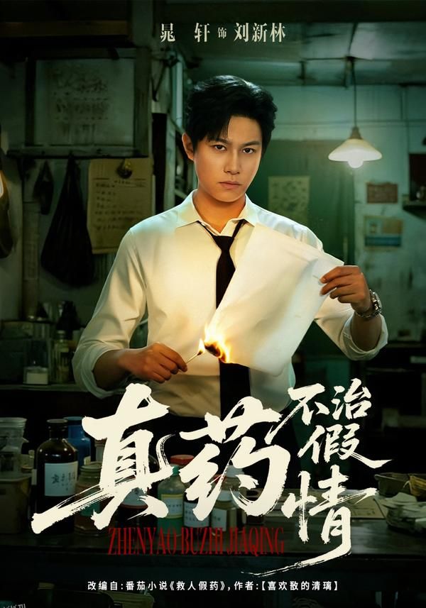 真药不治假情 海报