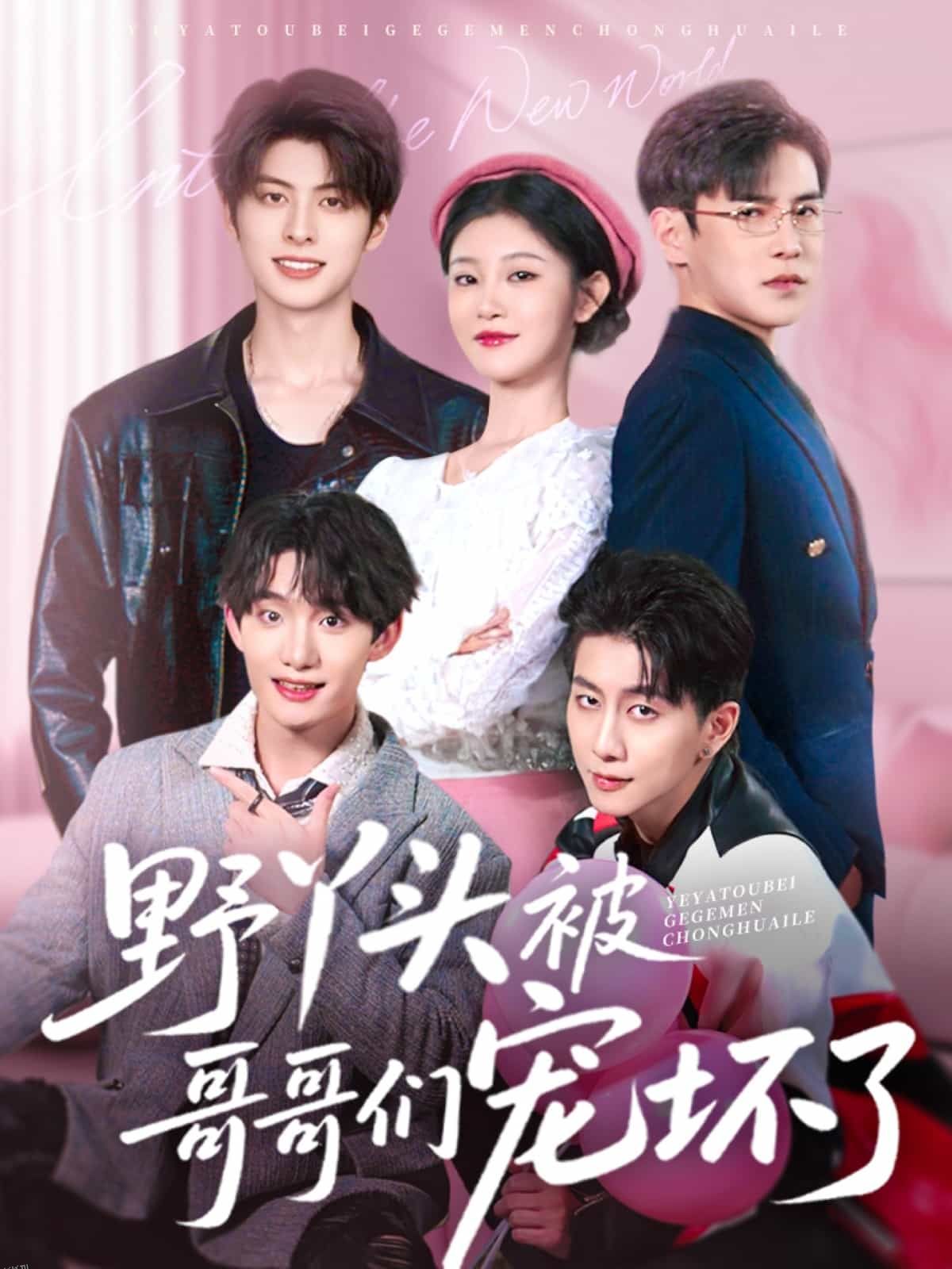 野丫头被哥哥们宠坏了 海报