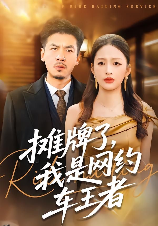 摊牌了，我是网约车王者 海报