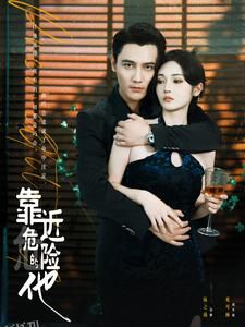 靠近危险的他 海报