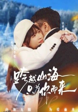 跨越山海只为你而来 海报