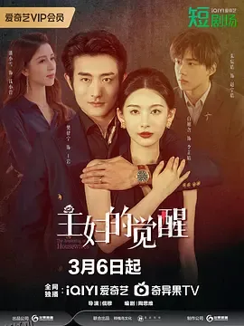 主妇的觉醒 海报