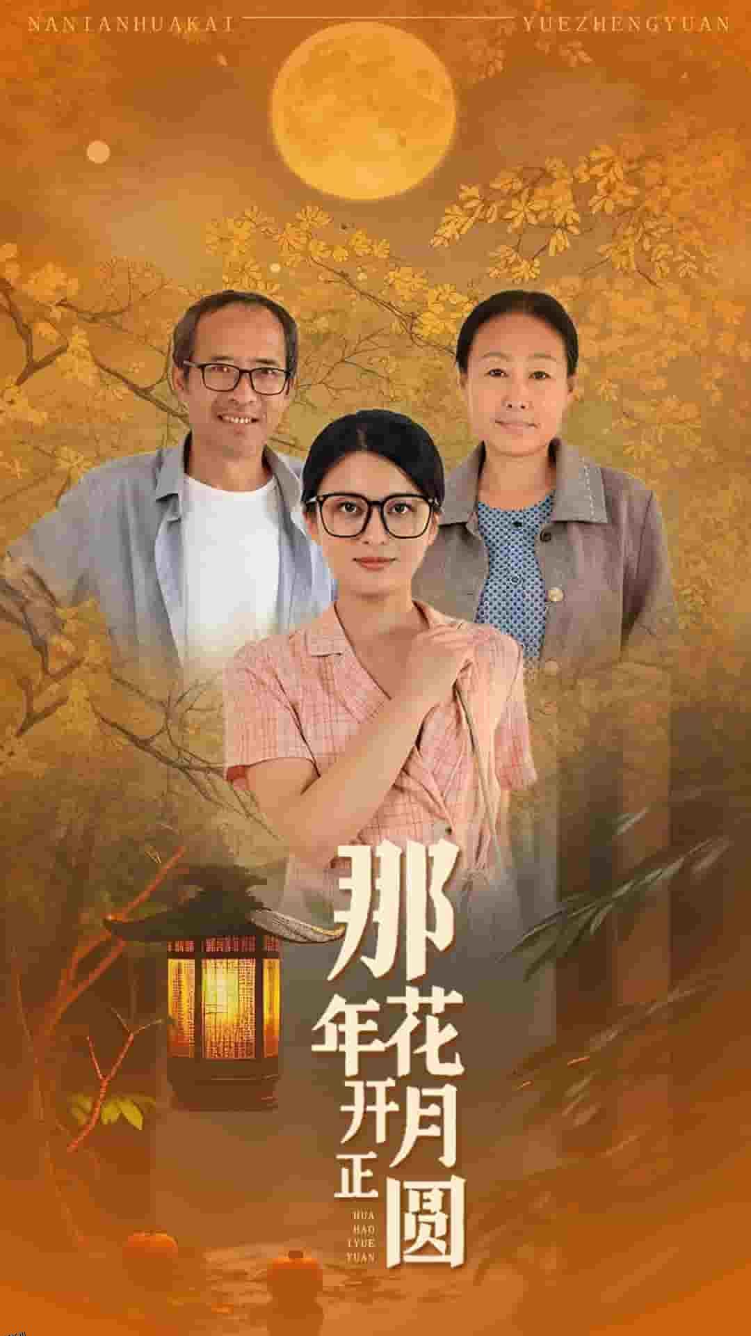 那年花开月正圆 短剧版 海报