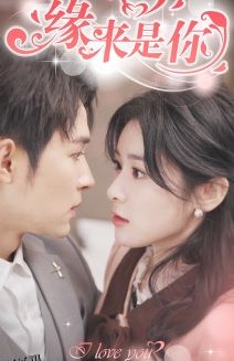 新版：缘来是你 海报