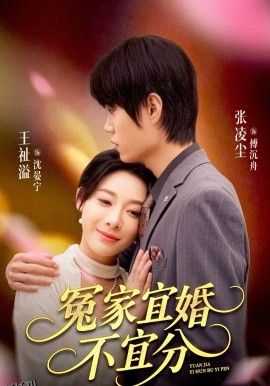 冤家宜婚不宜分 海报